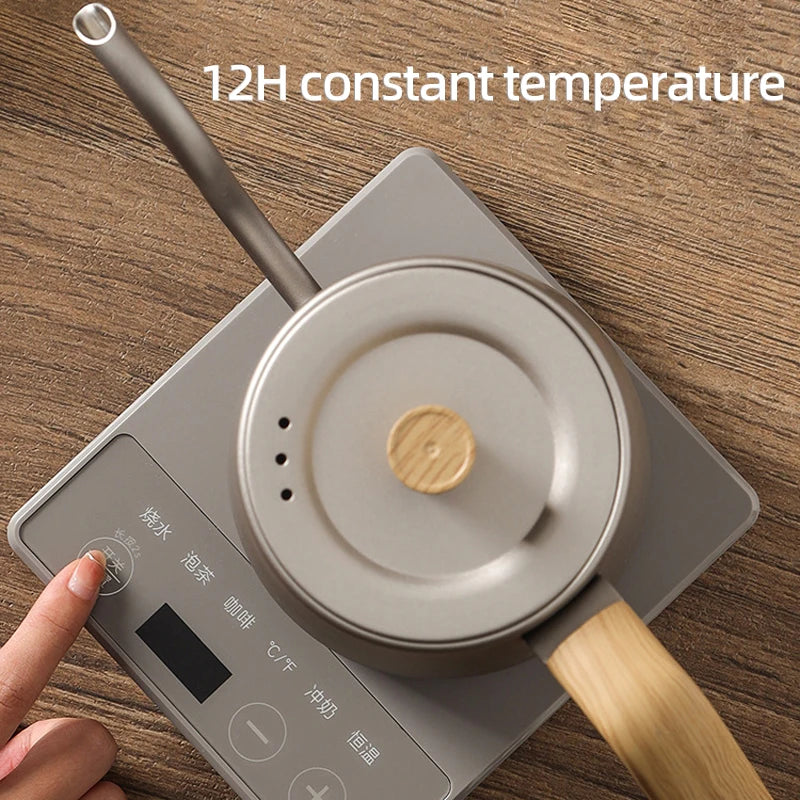 Electric Water Kettle