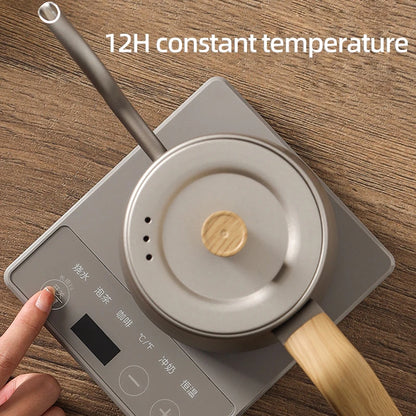Electric Water Kettle