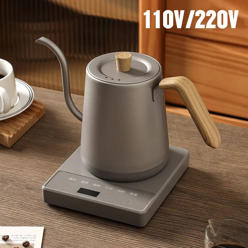 Electric Water Kettle
